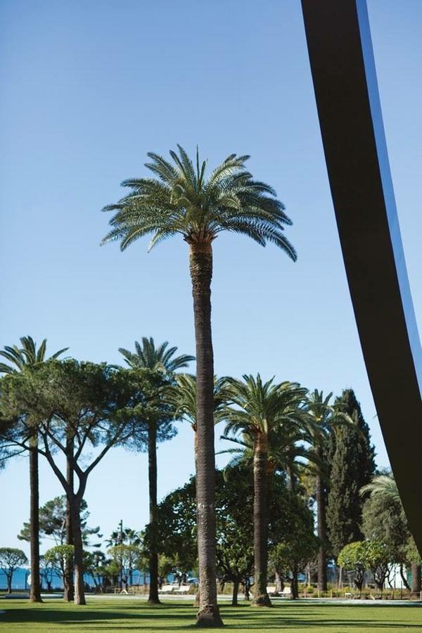 Le Jean Jaures - Refait A Neuf, Lumineux, Long Balcon, Jolie Vue, Wifi, Coeur Vieux-Nice Apartment Exterior photo
